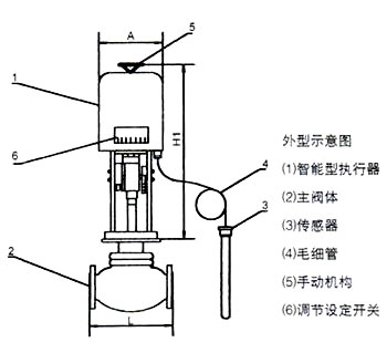 ZZWPE電動溫控調節(jié)閥外形示意圖